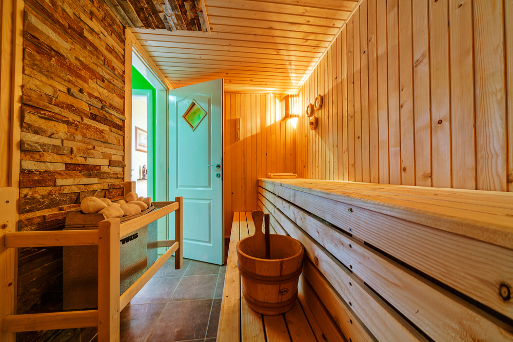Fínska sauna či infrasauna