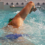 4 rady, ktoré vám pomôžu pri výbere bazéna SWIM SPA